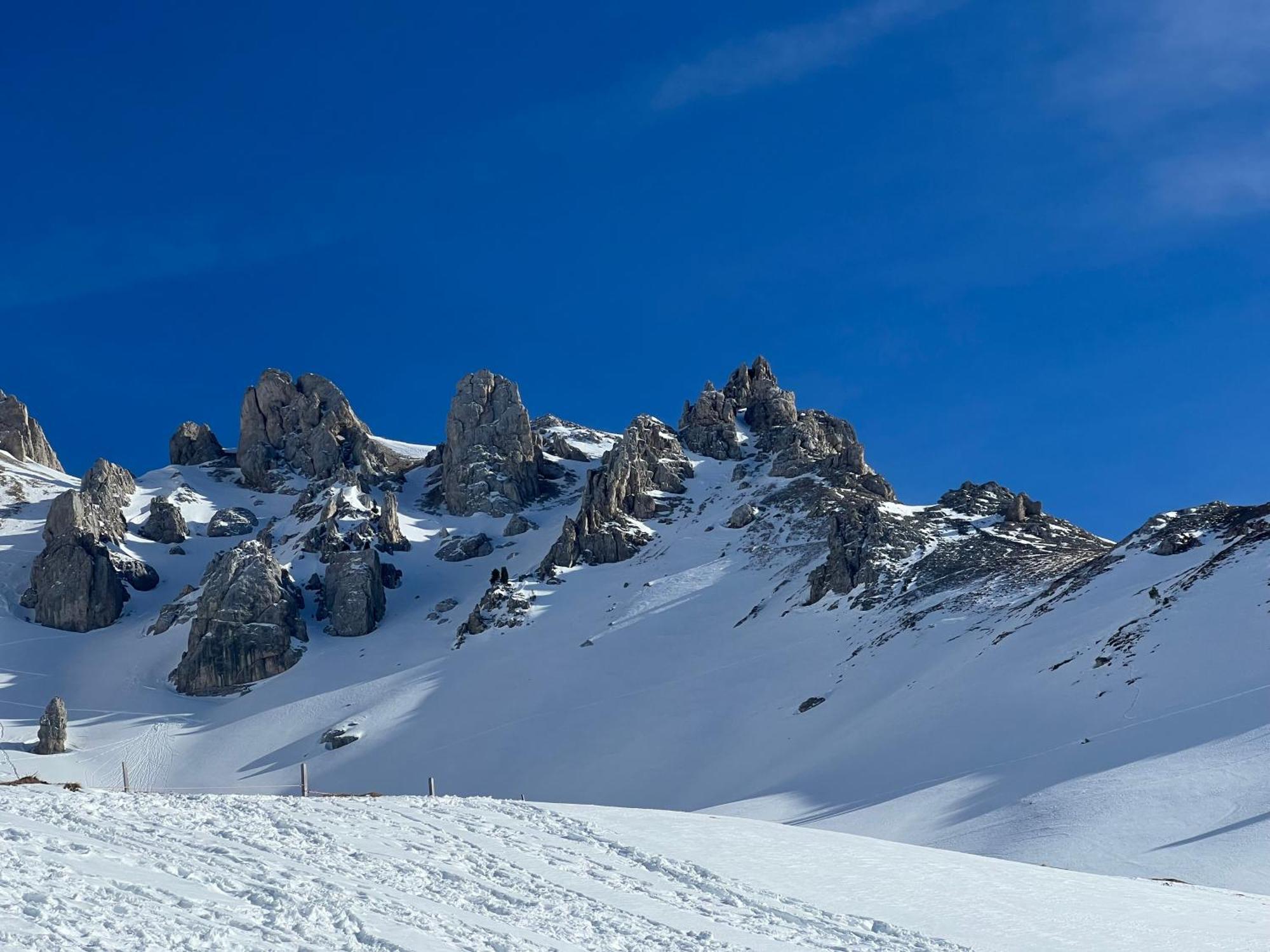 Chalet Tschattlhof Dolomites Cavalese Zewnętrze zdjęcie