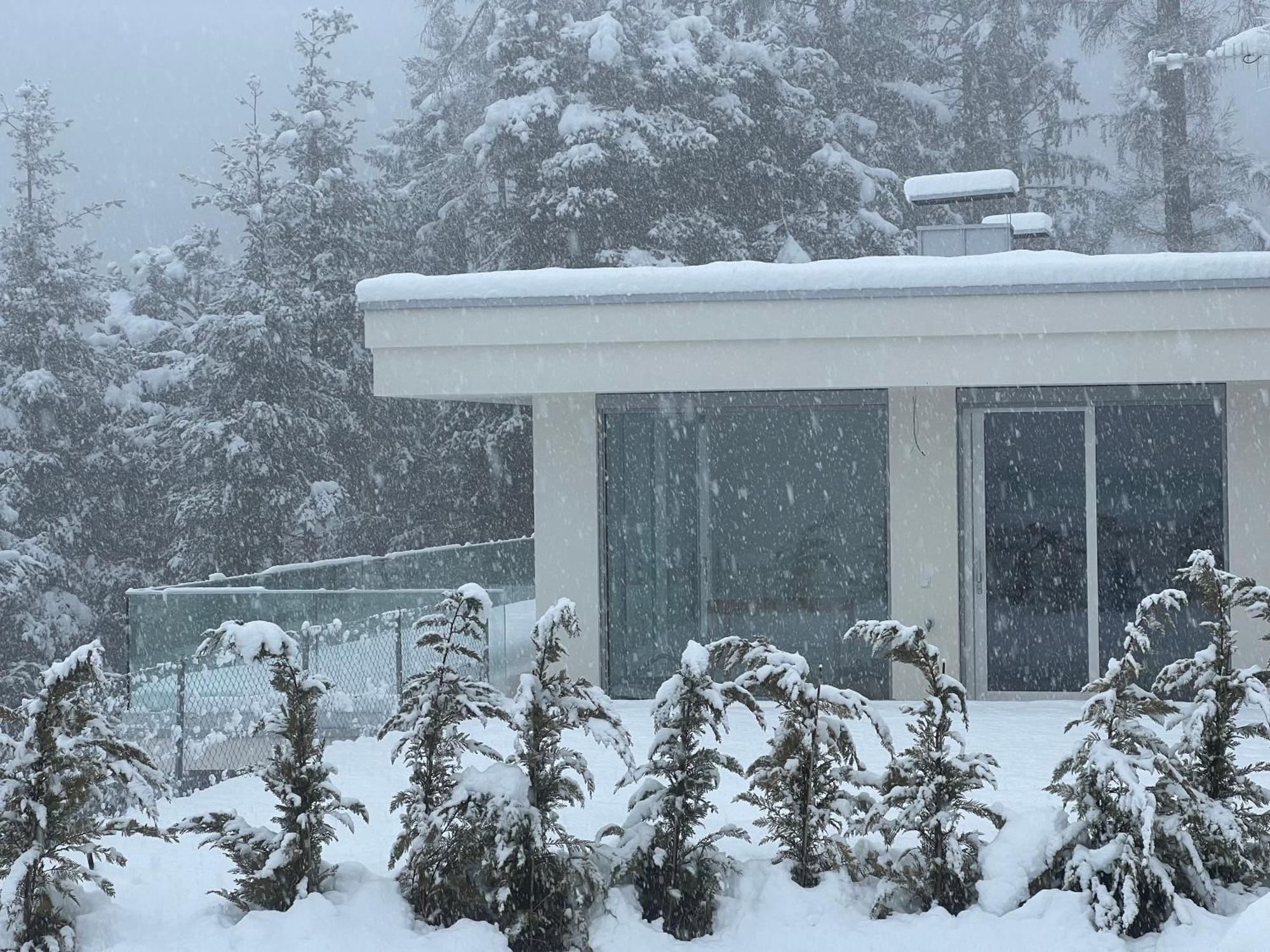 Chalet Tschattlhof Dolomites Cavalese Zewnętrze zdjęcie
