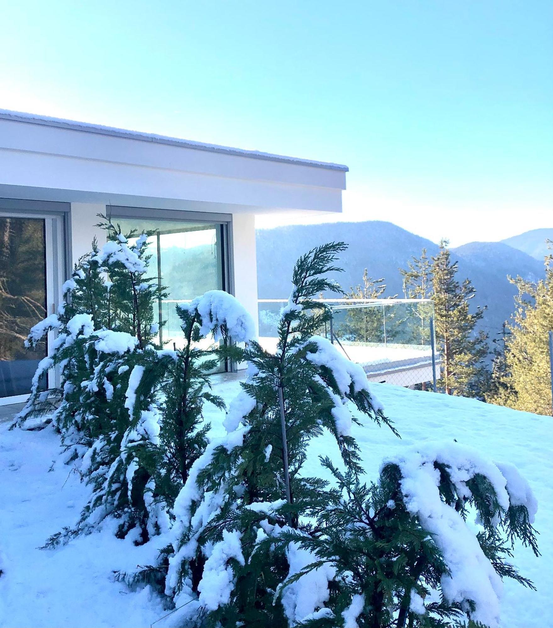 Chalet Tschattlhof Dolomites Cavalese Zewnętrze zdjęcie