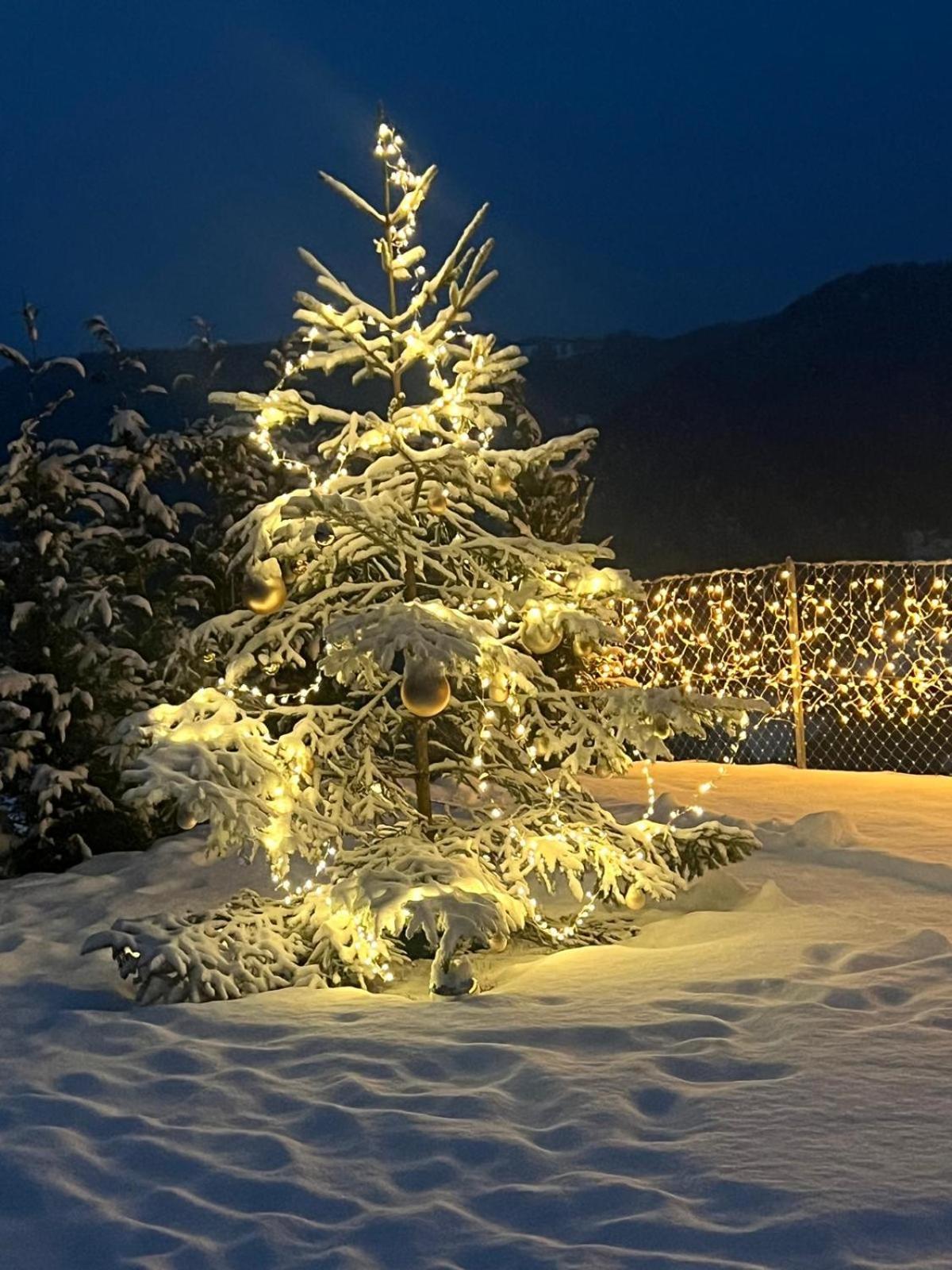 Chalet Tschattlhof Dolomites Cavalese Zewnętrze zdjęcie