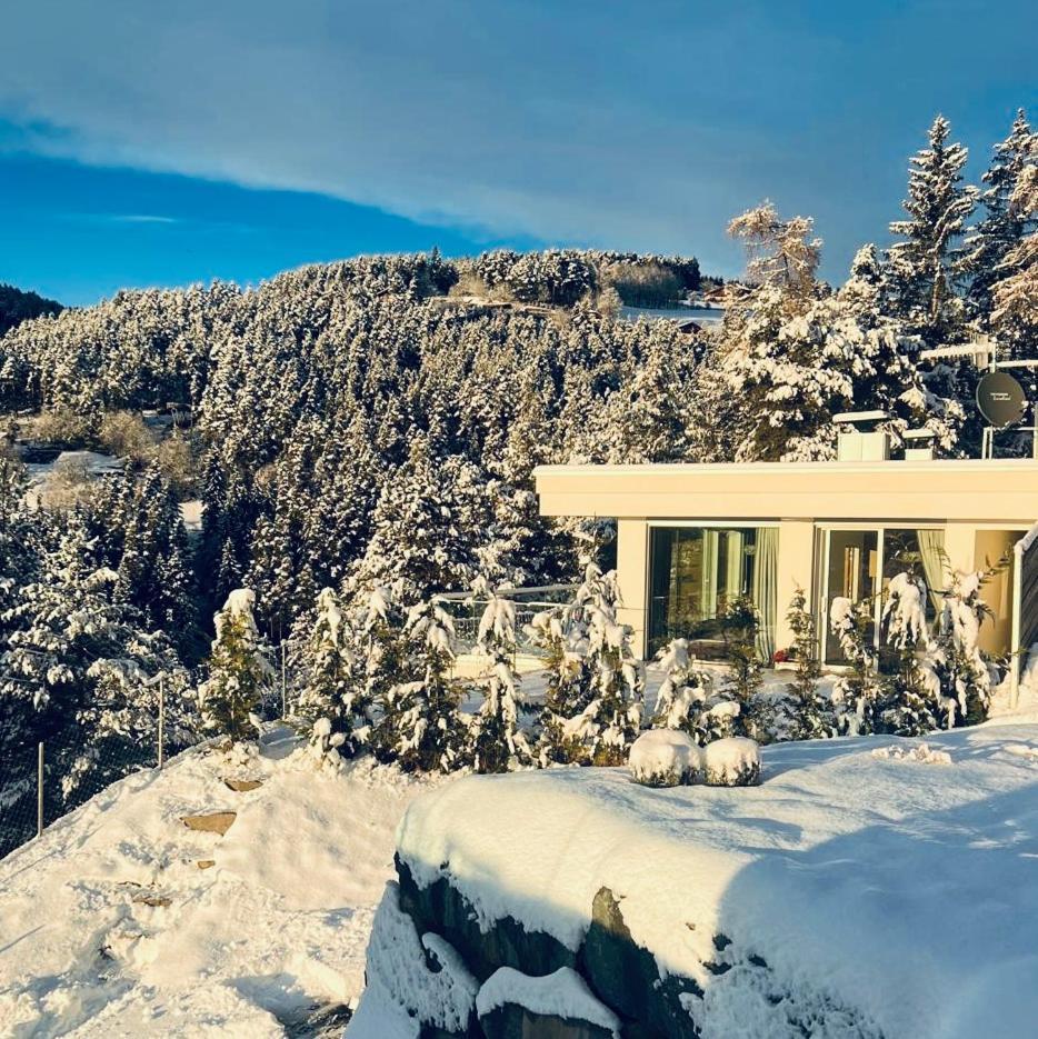 Chalet Tschattlhof Dolomites Cavalese Zewnętrze zdjęcie